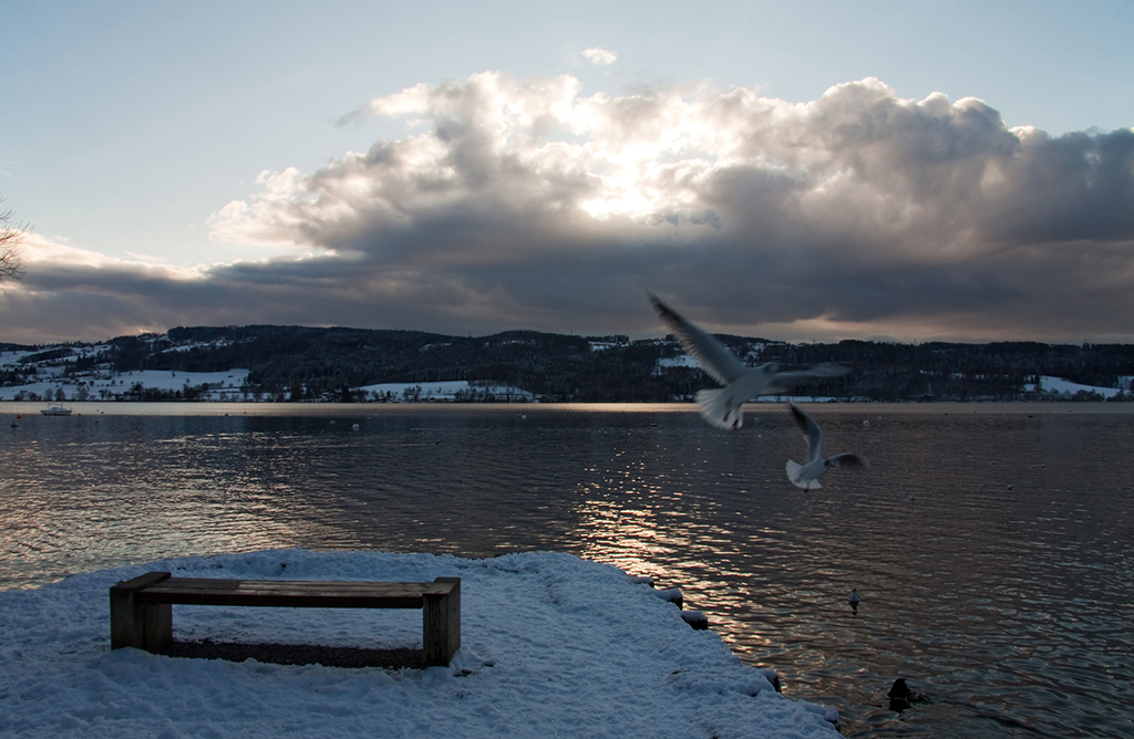 Greifensee 4.jpg